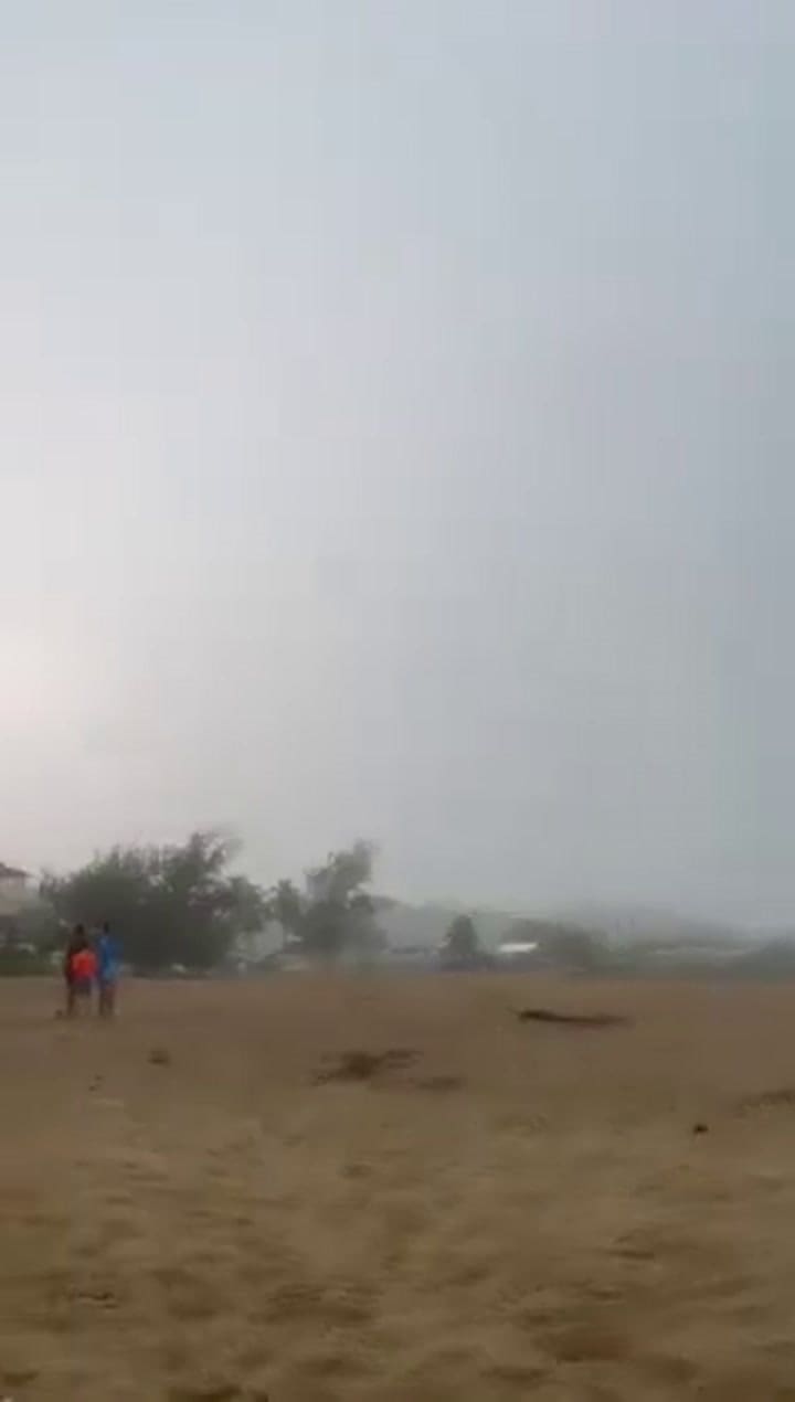 Twittervid.com Alertarojanot 84bf21