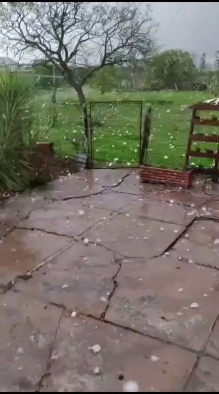 Granizos en Entre Ríos causaron destrozos en la producción citrícola