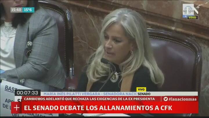 Senadora Pilatti: '¿Sabés qué Bonadio? Escaneate la cabeza'