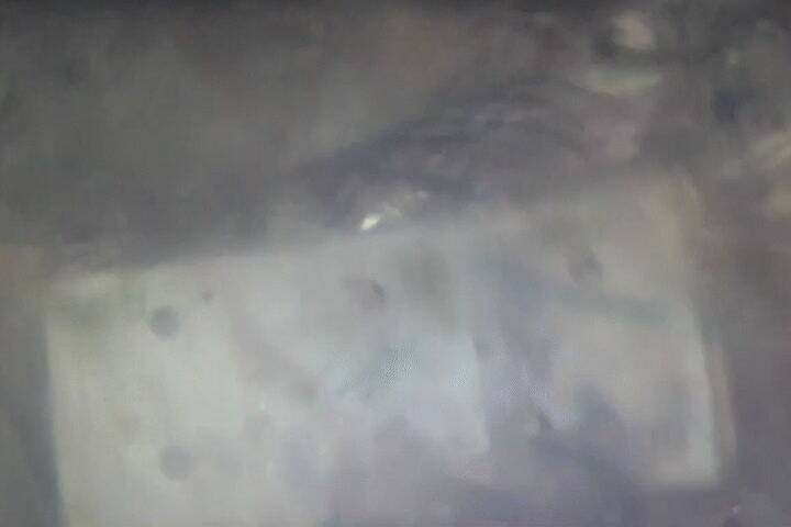 El BCRA ya destruyó 350 millones de billetes deteriorados