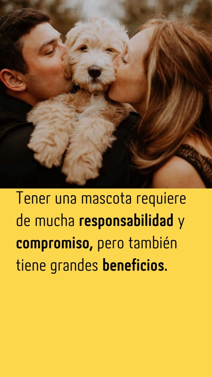 Todos los beneficios de tener una mascota en pareja