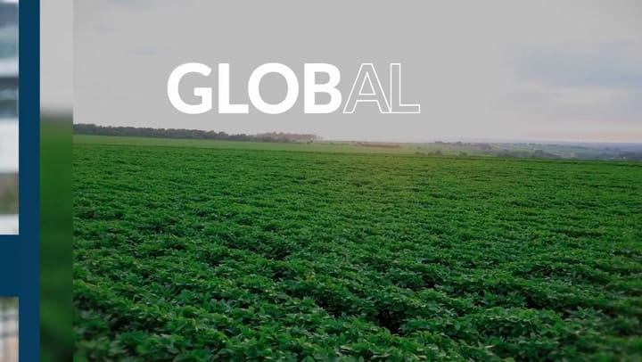 Bunge anunció su fusión con Viterra