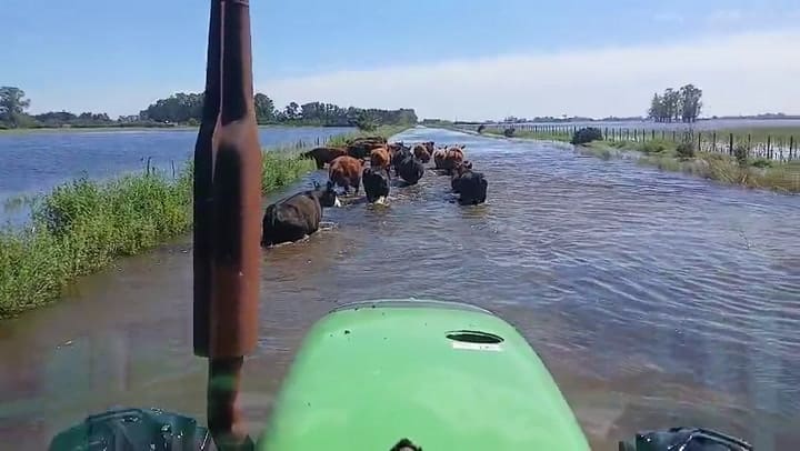 Video De WhatsApp 2025-10-28 A Las 15.59.17 98803e73