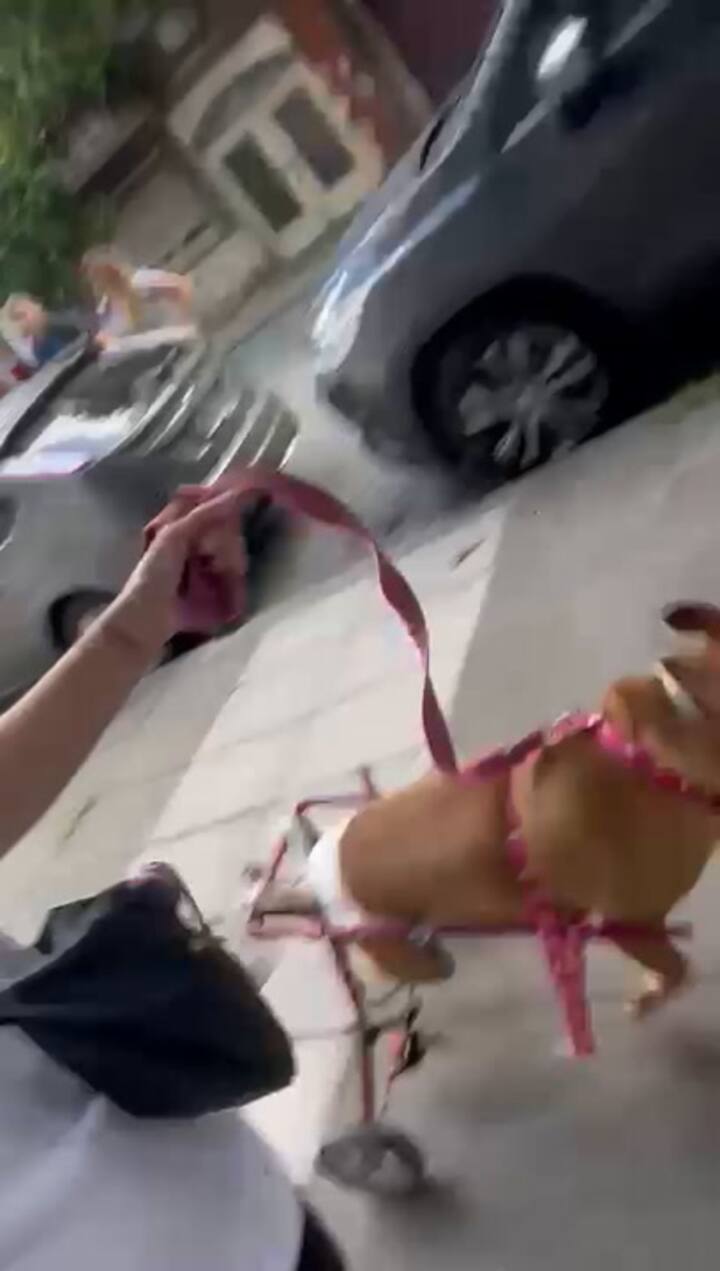 Magui ama correr a toda velocidad