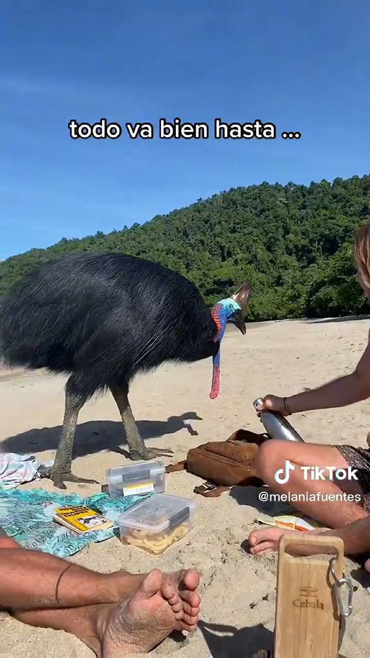 Una tiktoker grababa un tranquilo momento, cuando le advirtieron del peligro