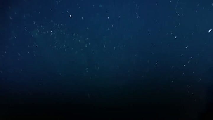 El tesoro hallado en el fondo del mar en Colombia