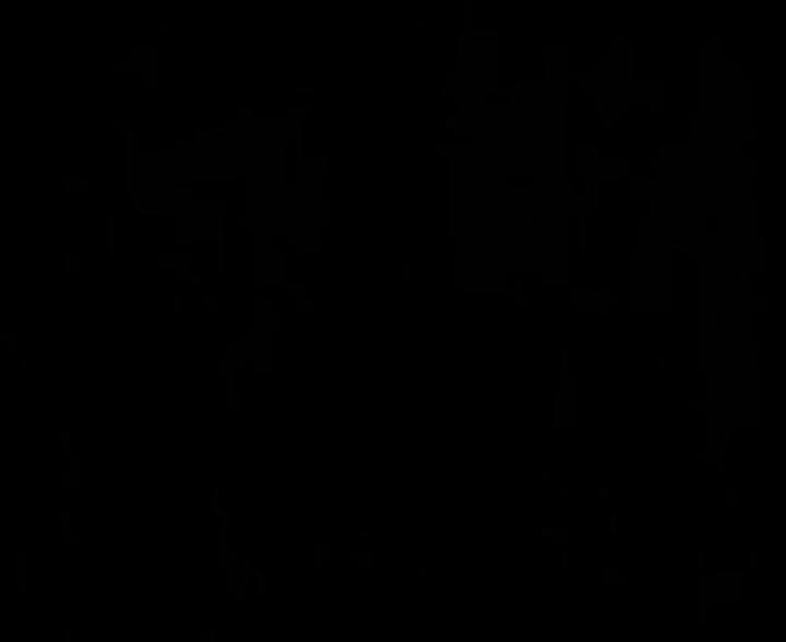 Lumière and Company - David Lynch - Fuente: YouTube