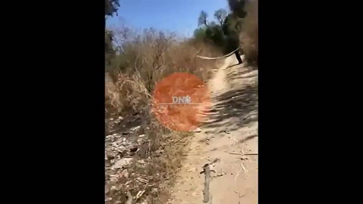 Hallaron sin vida a la docente formoseña Sandra Palomo en Salta - Fuente: Via Libre