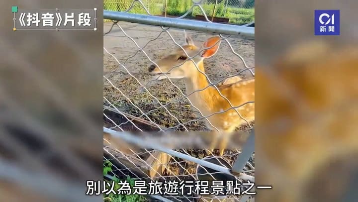 Una mujer de 38 años decidió cambiar su estilo de vida y se instaló en un geriátrico