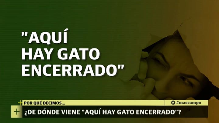 LN+CAMPO Dicho 'Aquí hay gato encerrado'