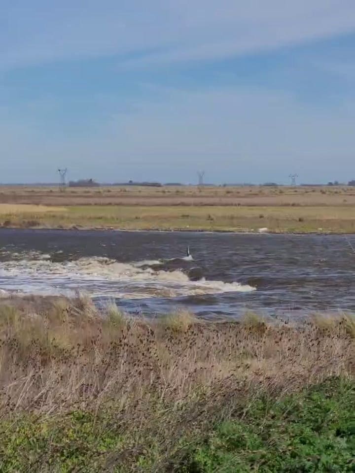 Video de la situación en Río Salado