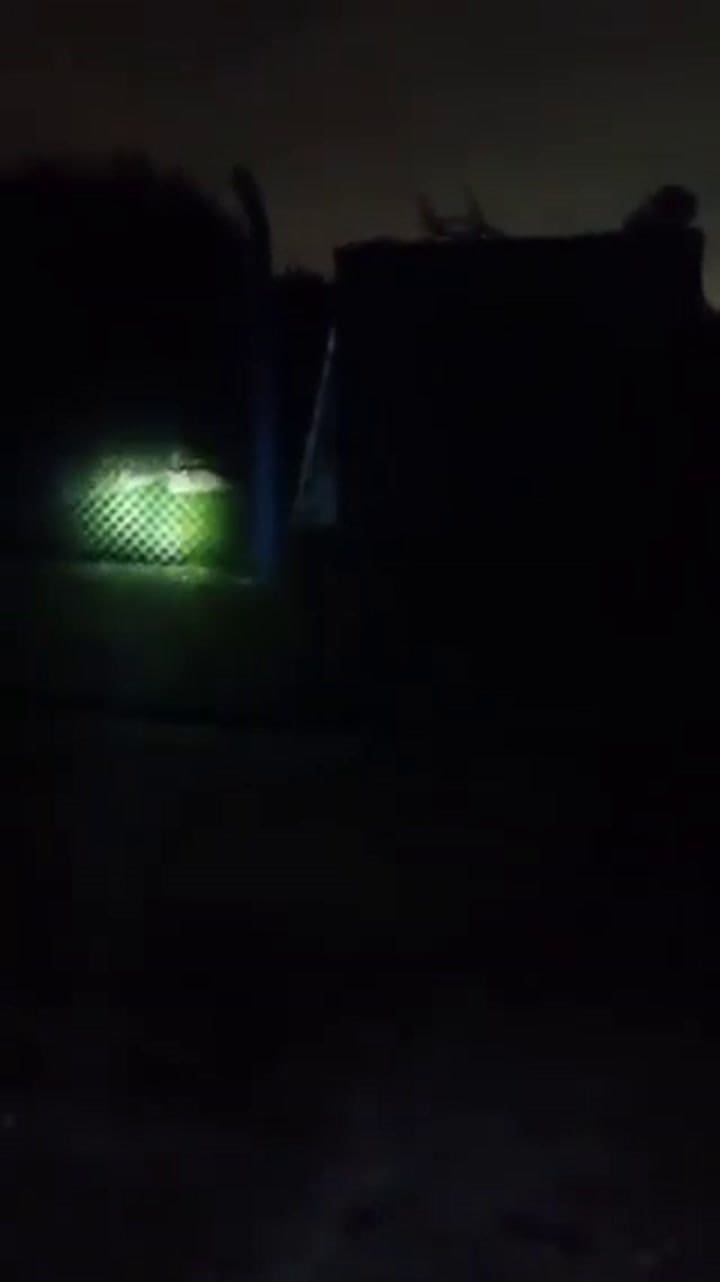 Puma en La Reja, Moreno