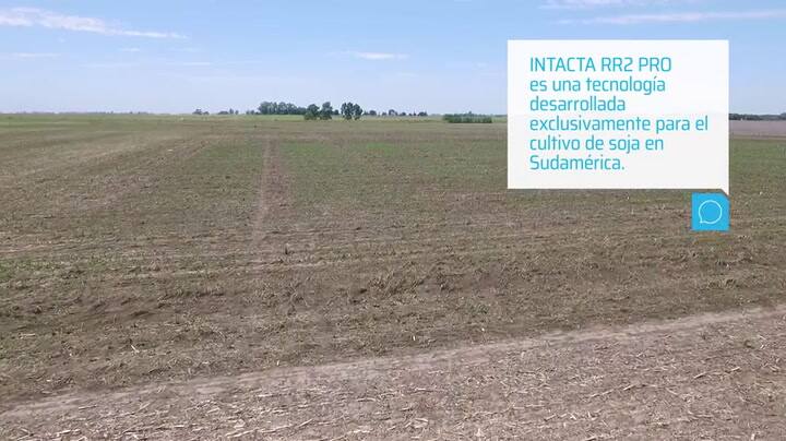 El éxito de INCTACTA RR2 PRO