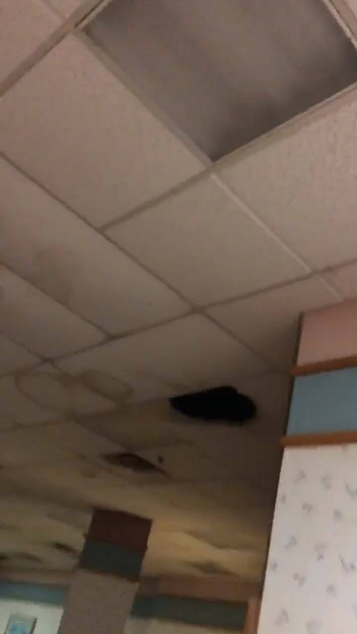 Encuentran Burguer King 'vintage' detrás de una pared de Delawere