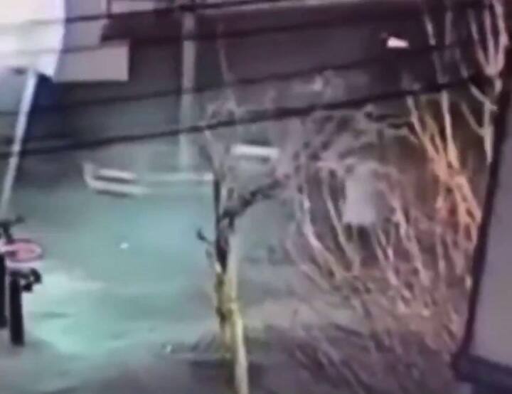 Disparos afuera de una estación de subte en Bruselas