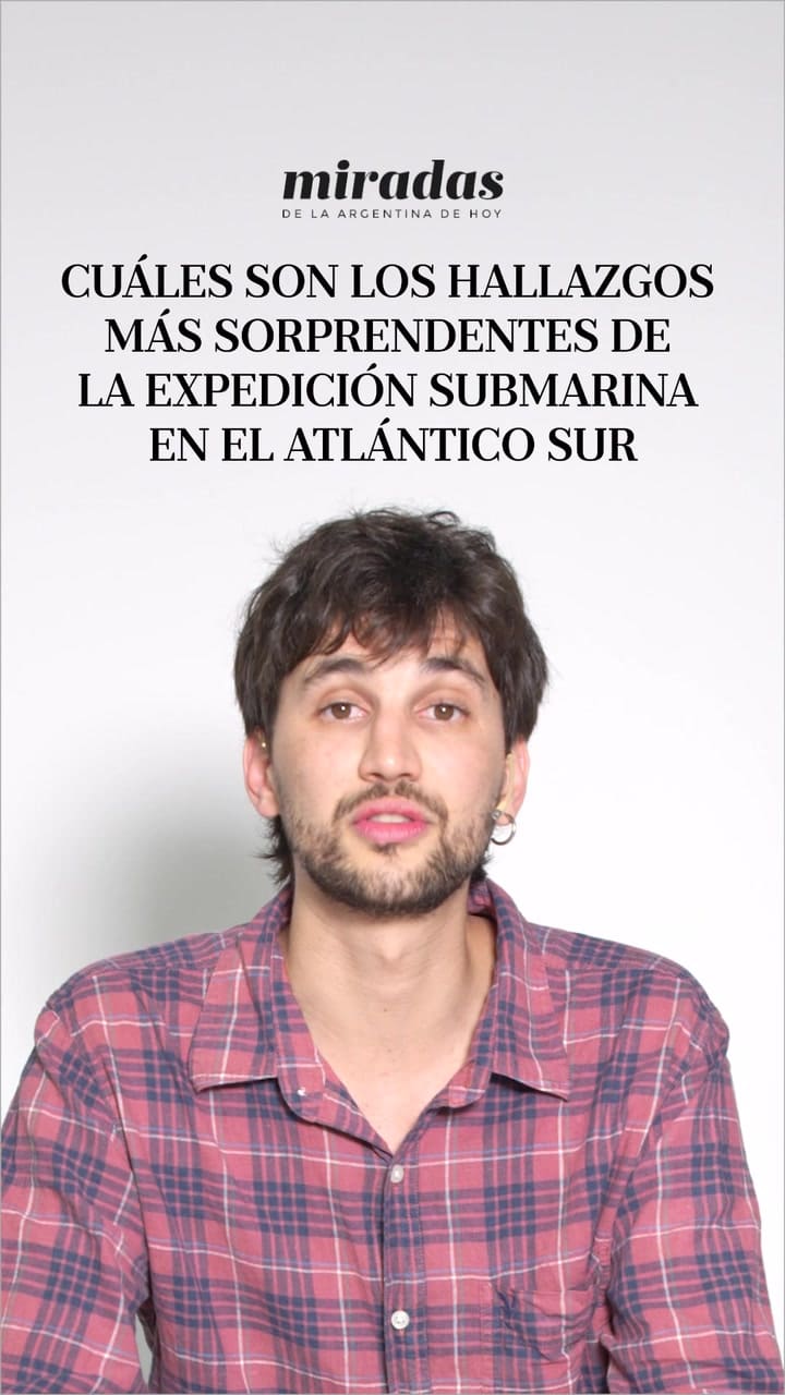 Hallazgos inéditos en el Atlántico Sur: una expedición revela los secretos del fondo del Mar Argentino