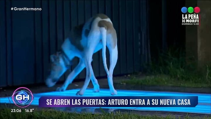 Gran Hermano: el recibimiento de Arturo a la casa