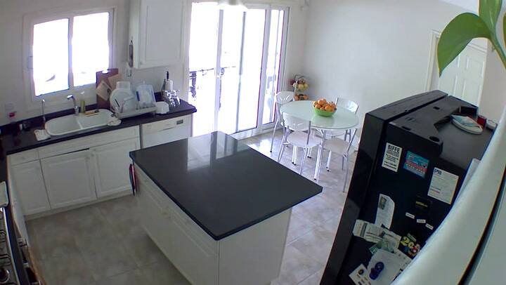 Así se movía el aquachorro en Nordelta