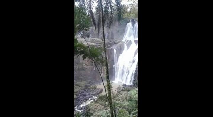 Video Cataratas
