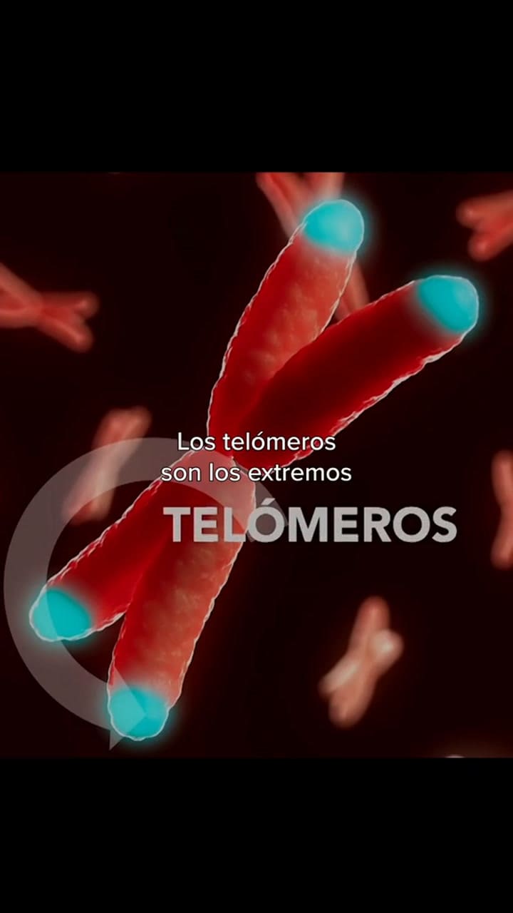 Hábitos para vivir más