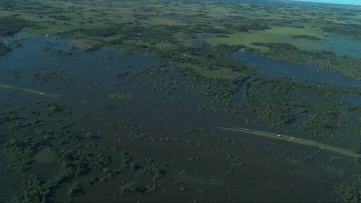 Impactantes imágenes de la inundación en el campo en Corrientes