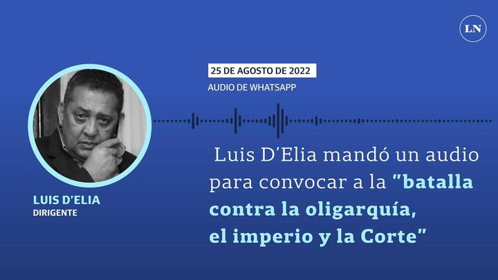 Luis D'Elia mandó un audio para convocar a la 'batalla contra la oligarquía, el imperio y la Corte'