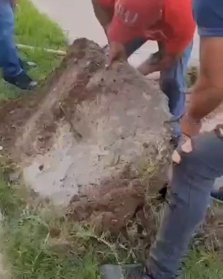 Prodego staff worked hard to rescue Lazarus.