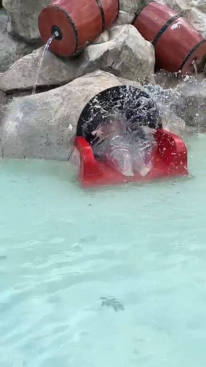 Pampita se fue de vacaciones con su familia