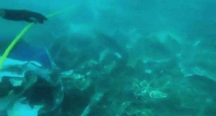 Buzos exhiben los restos del avión de Indonesia que cayó el sábado al mar de Java