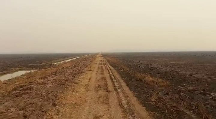 Establecimiento San Antonio, del grupo Caldenes, en el extremo en el extremo norte de Corrientes