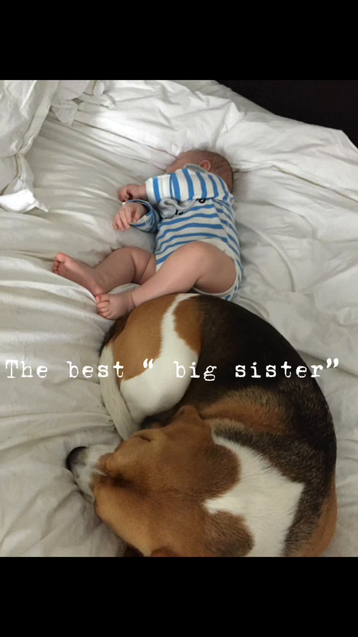 El conmovedor video que prepararon para Halo