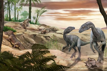 Huayracursor jaguensis fue hallado en la Quebrada de Santo Domingo, a más de 3000 metros de altura en la cordillera riojana