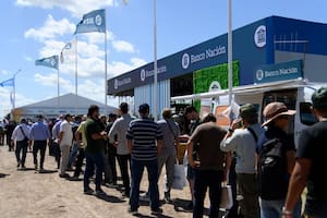El Banco Nación, que marcó un récord en el mercado, lanzó créditos en dólares a tasa cero en Expoagro