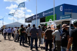 El Banco Nación, que marcó un récord en el mercado, lanzó créditos en dólares a tasa cero en Expoagro