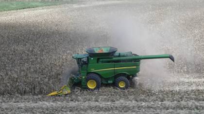 Hubo lugares donde se retomo la cosecha