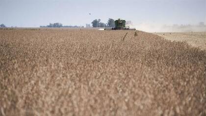 Hubo oportunidades para cerrar negocios en muy buenos valores