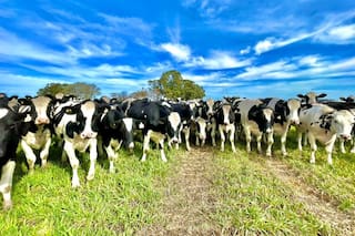 El drástico giro de un negocio en solo un año y la estrategia en un momento clave