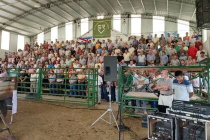 Hubo una importante participación de productores