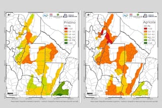 Hacen falta US$12.000 millones para que una región agrícola recupere una condición originaria