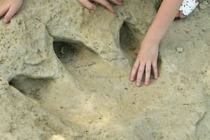 El agua de las inundaciones cedió y aparecieron enormes huellas de dinosaurios de hace millones de años