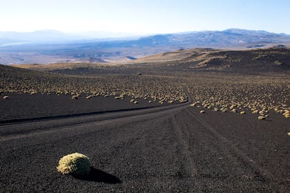 Huella sobre el terreno en la Reserva Provincial La Payunia.