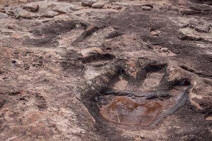 Huellas de dinosaruio halladas en Yunan