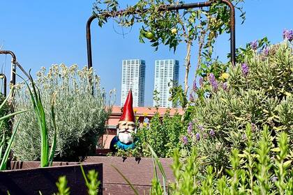 Beto, el guardián del lugar, se recorta entre el skyline de Buenos Aires. La huerta de Olivos cuenta con un clon de él como custodia.