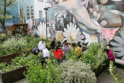 Huerta comunal en una plaza de Palermo, gestionada por el equipo del restaurante Don Julio