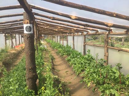 Huerta comunitaria de las comunidades mapuches en Bariloche