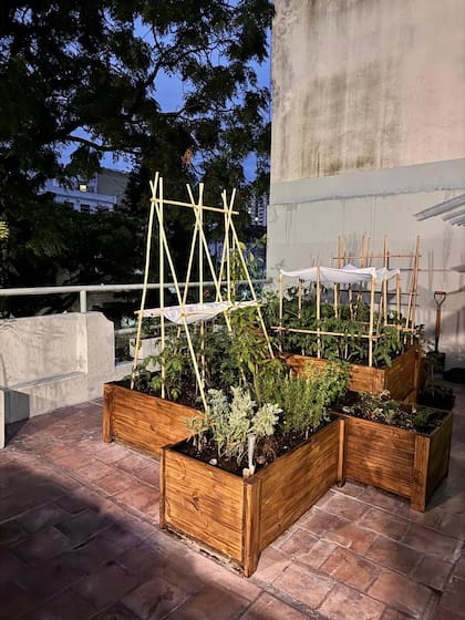 Huerta en la terraza del restaurante Marta