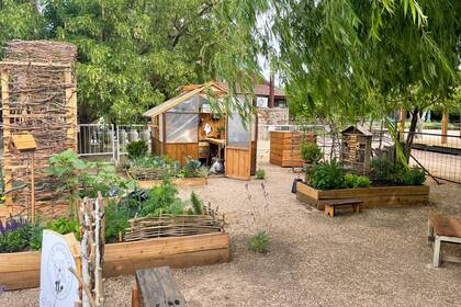 Huerta para alimentarse todo el año: ¿mito o realidad?