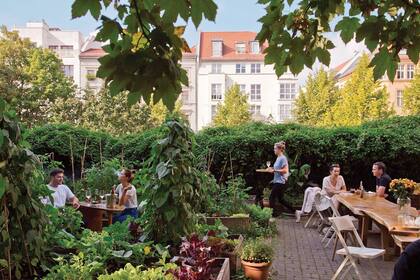 Huerta propia, credo orgánico, cocina sofisticada y ambiente, más que relajado, feliz.