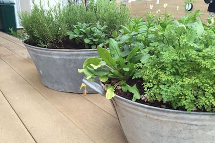 Huertas en fuentones antiguos, una opción para balcones, patios y terrazas que suma el encanto de lo vintage