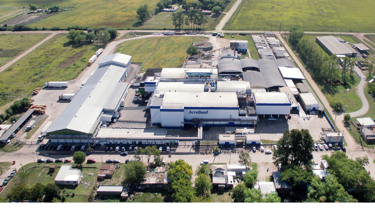 Temporal”: - LA NACION